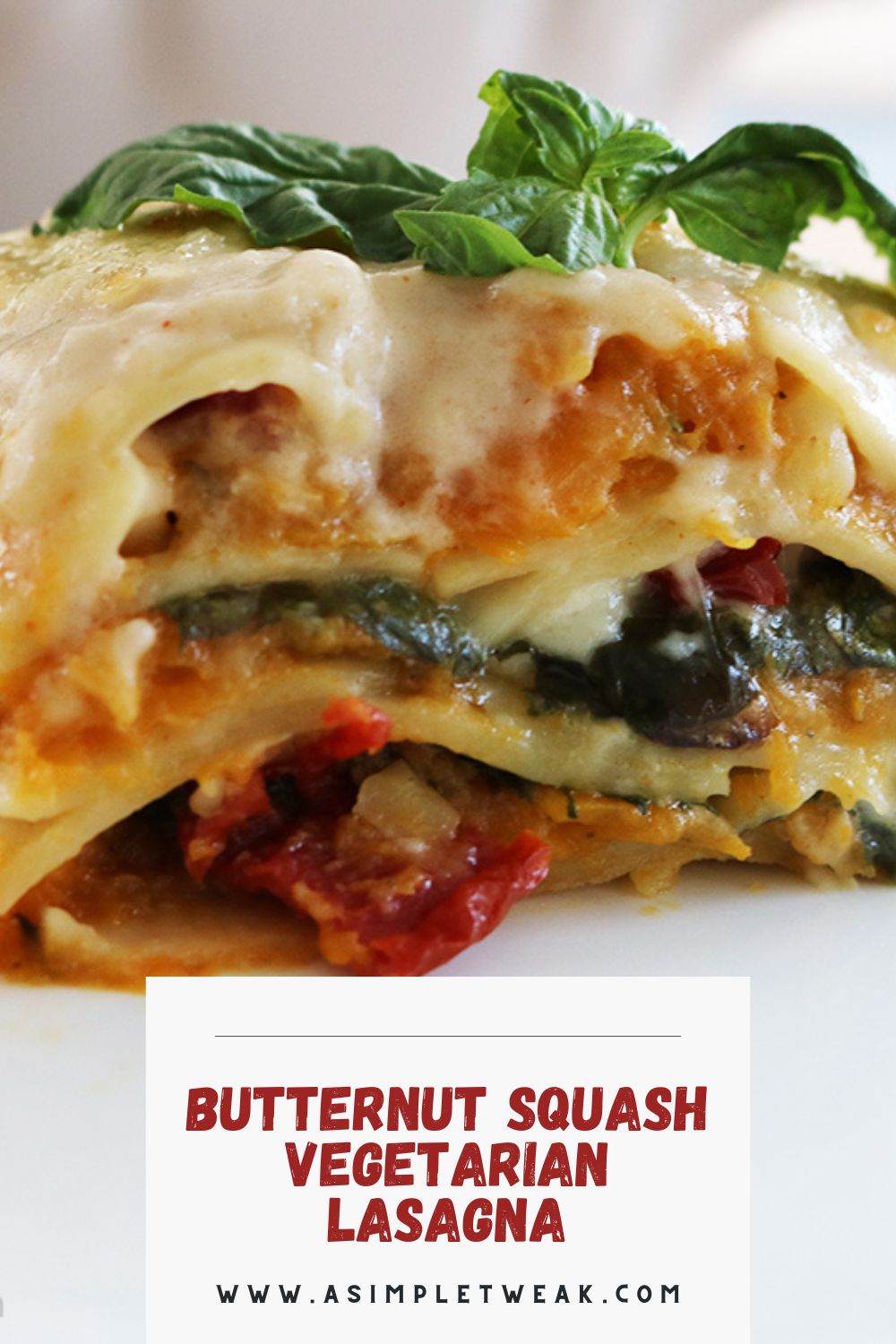 BUTTERNUT SQUASH VEGETARIAN LASAGNA