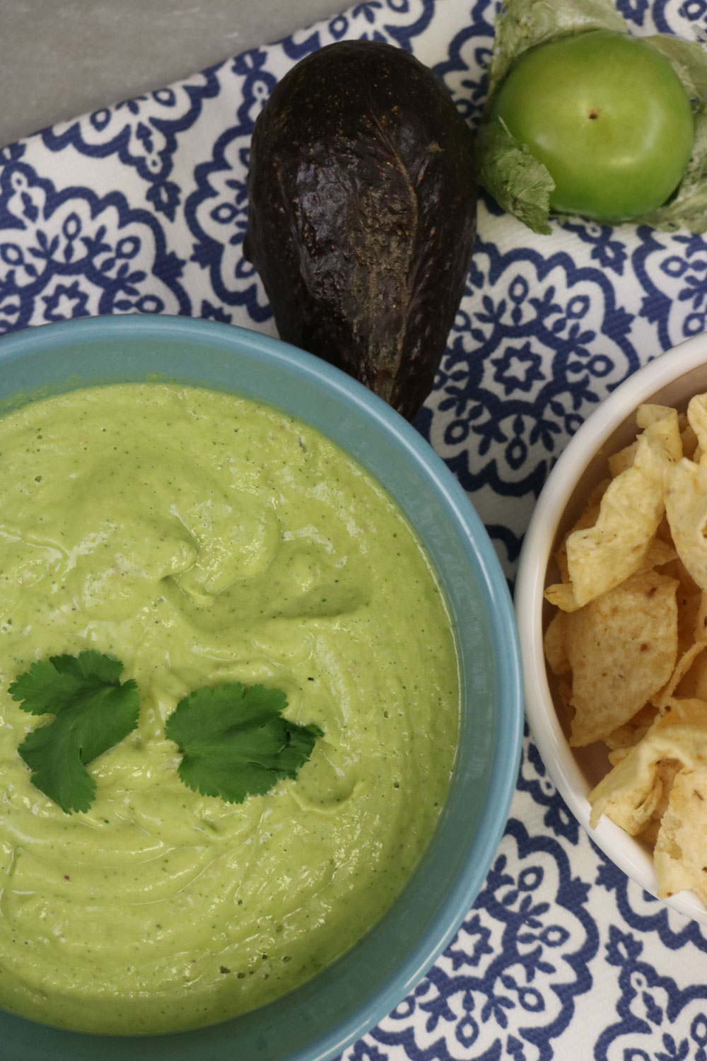 Avocado-and-Roasted-Tomatillo-Salsa-Recipe Avocado-and-Roasted-Tomatillo-Salsa-Recipe