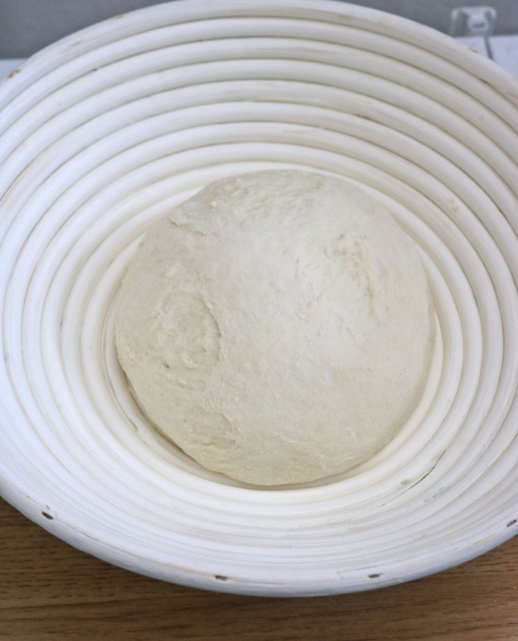 Transfer to a proofing basket for bread or parchment-lined bowl, cover, and let rise for 35 minutes or until the dough doubles in size. Transfer to a proofing basket for bread I got mine from Amazon; here is the link or parchment-lined bowl, cover, and let rise for 35 minutes or until the dough doubles in size.